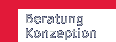 Beratung und Konzeption